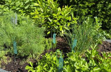 hochwertiges Studio in bester Lage - Foto 19