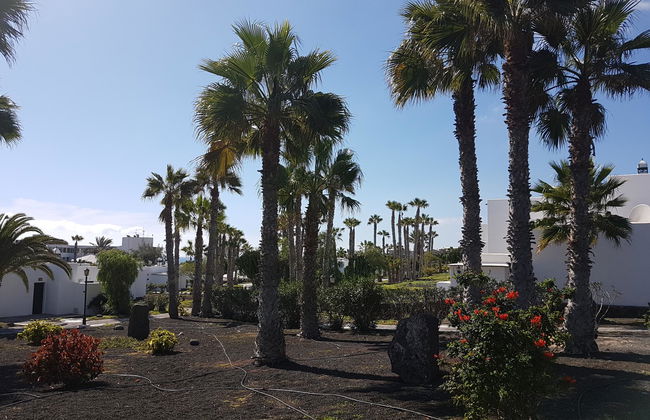 Palmeras Garden - Foto 34