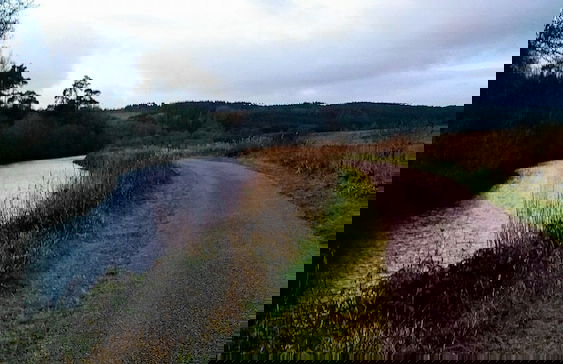 Crinan Canal Cottage - Foto 18