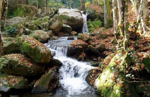 Ca' la Paz - Mogarraz - Foto 24