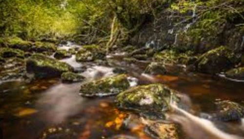 Lakeland Lodge - Foto 5