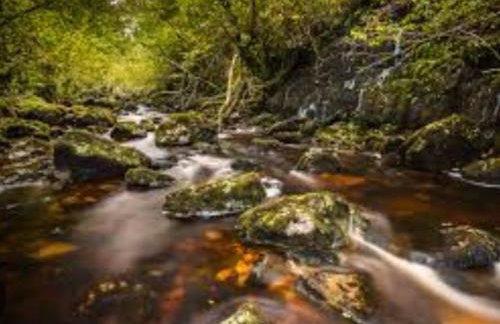 Lakeland Lodge - Foto 5