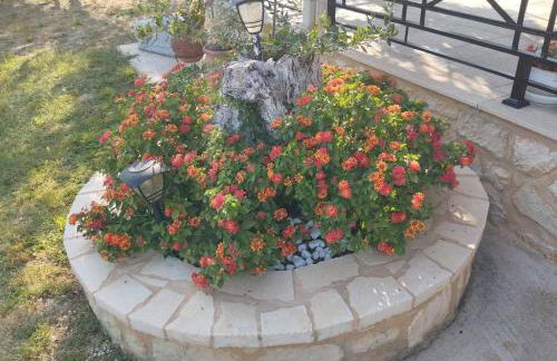 Jenny's House - Foto 8