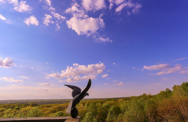 Treetop Retreat - Foto 42