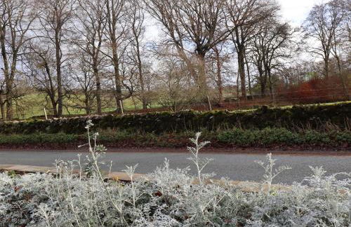 Ash Cottage - Foto 21