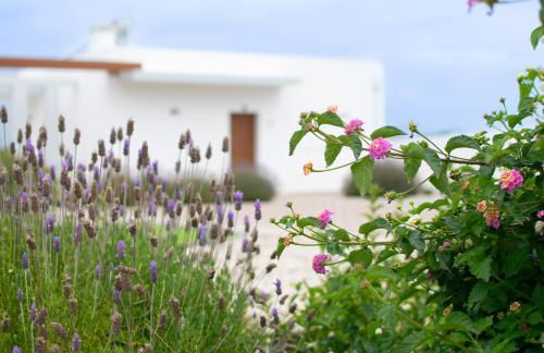 mar(y)ar alojamento local - Foto 7