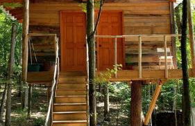 Dreamy Treehouse Cabin Oasis Near Piney River, Tennessee - Foto 1