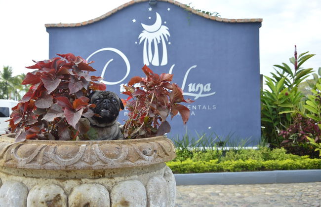 Puerto de Luna Pet Friendly & Family Suites Hotel - Photo 66