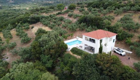 Kyparissia De Wandelboom - Photo 3