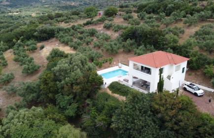 Kyparissia De Wandelboom - Foto 2