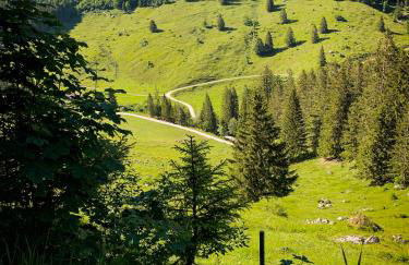 Beim Mühltaler II - Photo 26