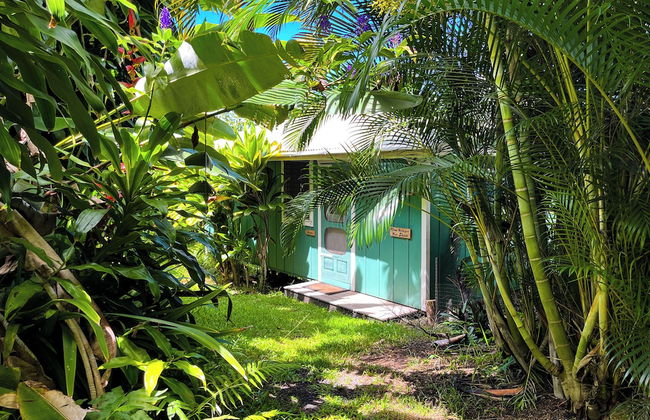 Gingerhill Farm Retreat - Foto 57