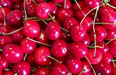 Incanto del Garda - Foto 58