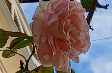 Casa da Madalena do Mar - Foto 39