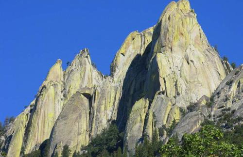 Redwood Retreat, Mountains, Adventure and Nature - Foto 32