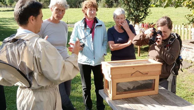 Viendo la colmena acompañados de un apicultor
