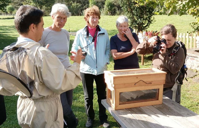 Visita a una granja de abejas con degustación de miel - Foto 5
