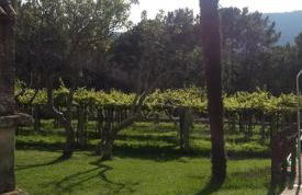 Os Areeiros Turismo Rural & Bodega - Foto 31