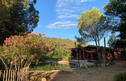 L'Etang Des Cigales - Foto 9