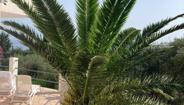 Villa Ocean Breeze Terracce - Foto 3