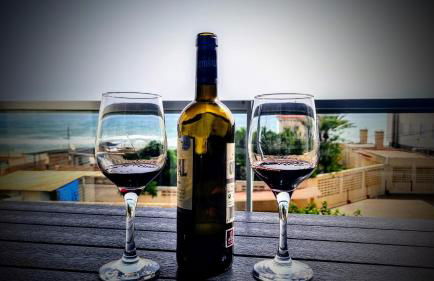 Hello Piles Beach Javier - Foto 1