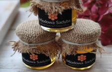 MIODOWA SADYBA Domki całoroczne Kluczbork - Foto 13