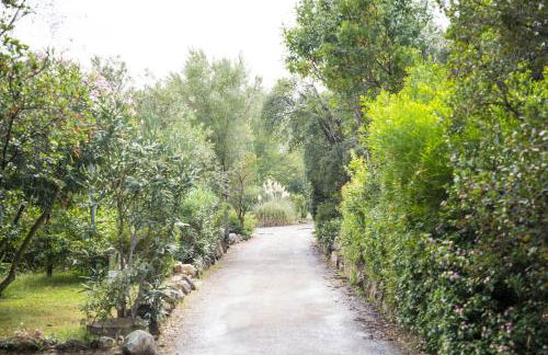 Residence de Tourisme Marina Corsa - Foto 10