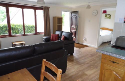 Hengar Select - Foto 10