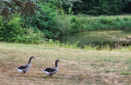 Atelier du chateau - Foto 25