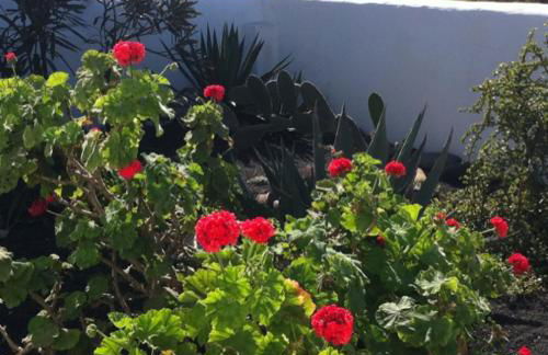 Casa Callao - Foto 14