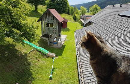 Ferienwohnung am Schneeberg - Foto 24