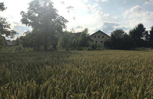 Landgut zur Mühle - Foto 40