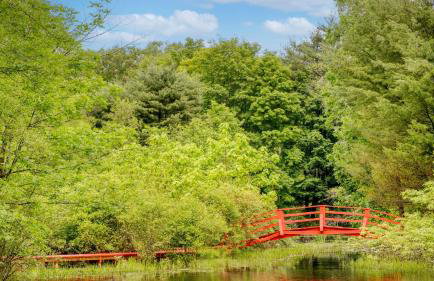 Game Farm Villa by Avantstay 10bdr, Private Pond, Spa, Pool Family-friendly - Foto 111