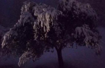 CASA DEL CANTA - Foto 29