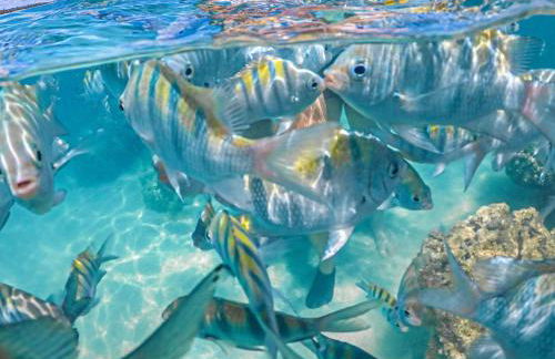 Maravilhosa Casa Pé na Areia 2 - Foto 27