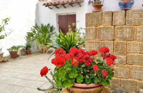 Casa Lia - Independent apartment in the Gulf of Orosei - Foto 55