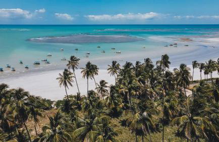 Casa Salga Patacho F003 - Rota Ecológica de São Miguel dos Milagres - Foto 10