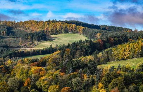 The Five Turrets: Stay in Scotland in Style in a Historic Four-bed Holiday Home - Foto 5