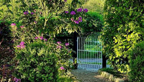 Elm Tree Cottage - Foto 5, Garden, Garden view