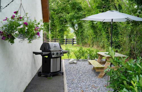 Limavady Cherry Tree Apartment, Sleeps 2 & Parking - Foto 9