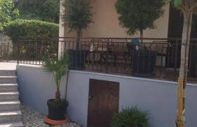 Oleander adria - Foto 10