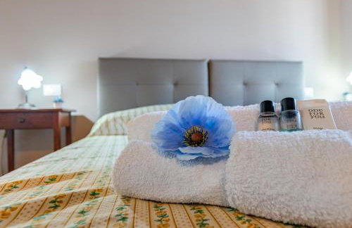 Il Poggetto di Casciana - Foto 11