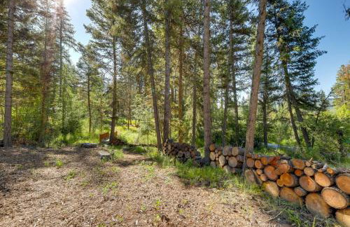 McGregor Lake Access Cabin in Wooded Wilderness - Foto 29