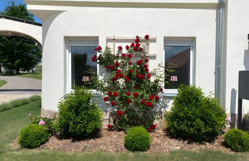 Ferienwohnung Gut Börtewitz - Foto 3