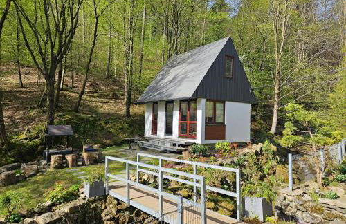 DOMKI w LESIE NAD RZEKĄ - Foto 12