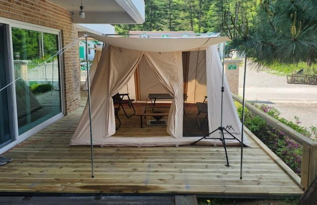 Dorothy's Forest Pension - Foto 15