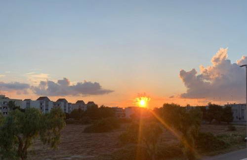 The Sunflower - Foto 62