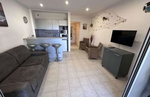 Studio climatisé 30m² avec piscine à 50m de la plage - FR-1-731-107 - Foto 2