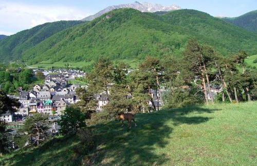 grange rénovée en gîte/maison/chalet - Foto 41