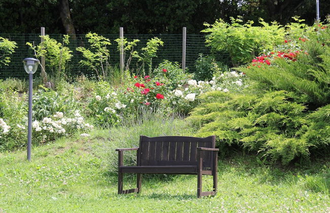 Belvilla by OYO Colle - Foto 10